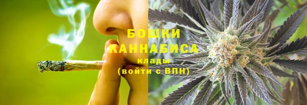 стафф Ладушкин