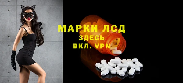стафф Ладушкин
