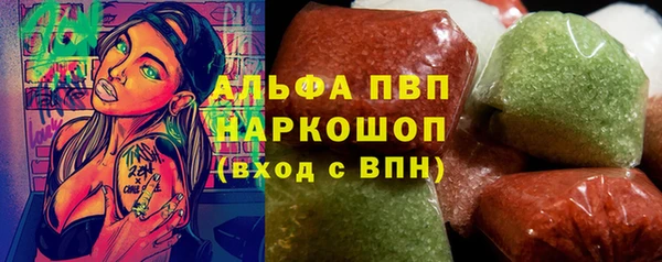 стафф Ладушкин