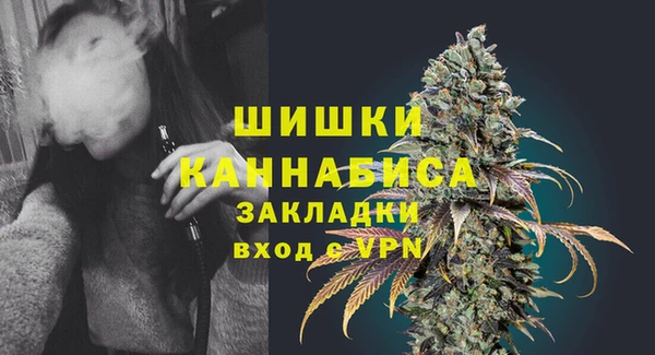стафф Ладушкин