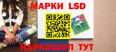 стафф Будённовск