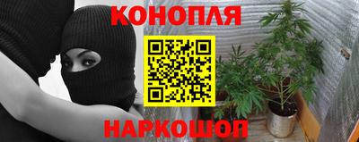 стаф Бузулук