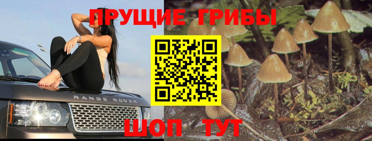 Галлюциногенные грибы мицелий Долгопрудный